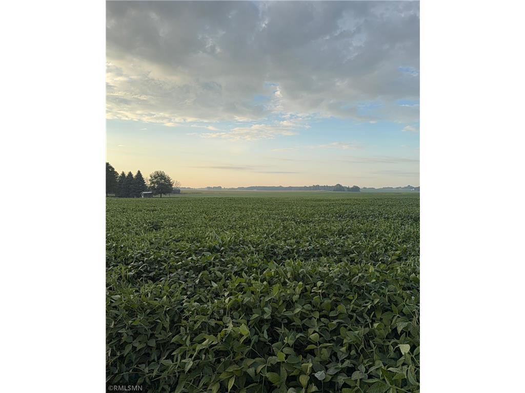 TBD 265th Avenue Faxon Twp MN 56011 6788599 image3