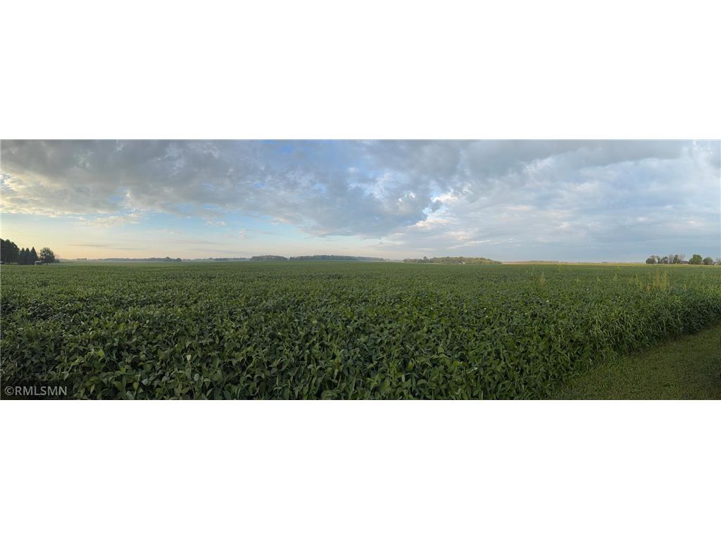 TBD 265th Avenue Faxon Twp MN 56011 6788599 image4