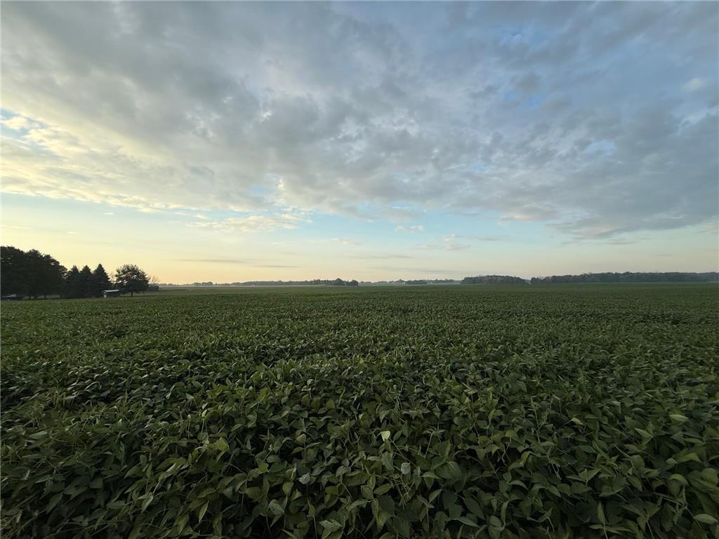 TBD 265th Avenue Faxon Twp MN 56011 7071382 image1
