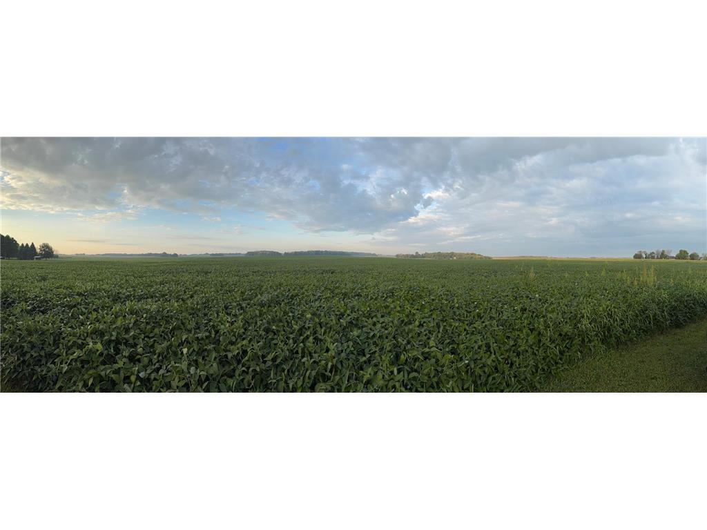 TBD 265th Avenue Faxon Twp MN 56011 7071382 image4