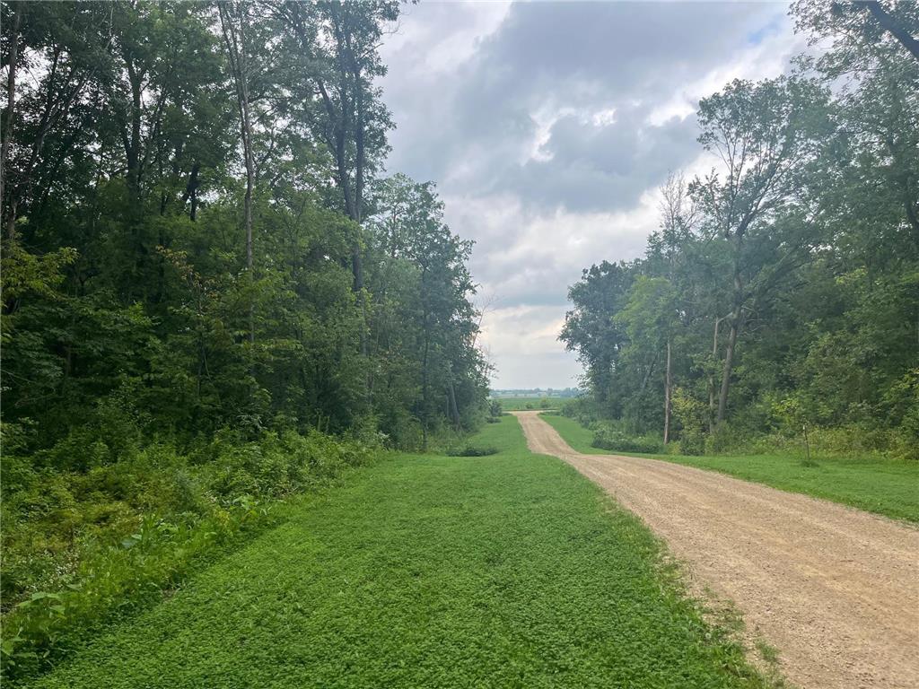 TBD 265th Street Eureka Twp MN 55024 6768525 image10