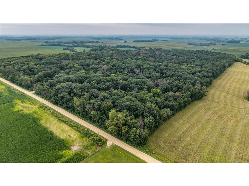 TBD 265th Street Eureka Twp MN 55024 6768525 image11