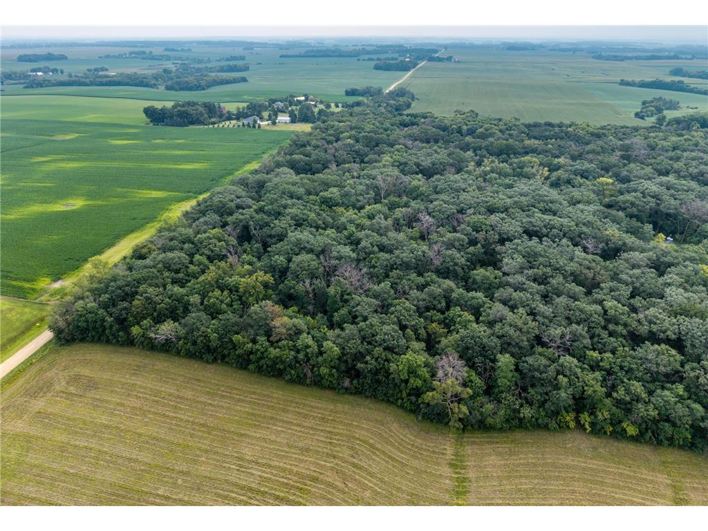 TBD 265th Street Eureka Twp MN 55024 6768525 image2