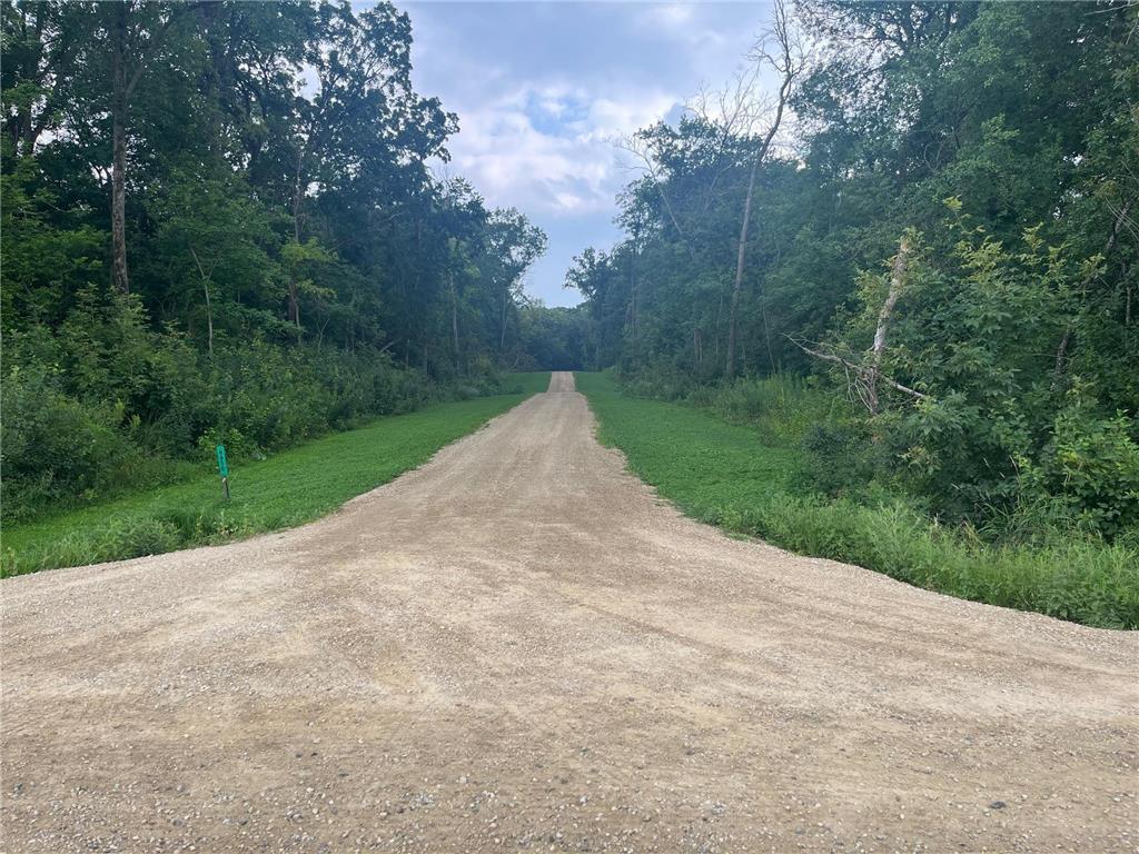 TBD 265th Street Eureka Twp MN 55024 6768525 image6