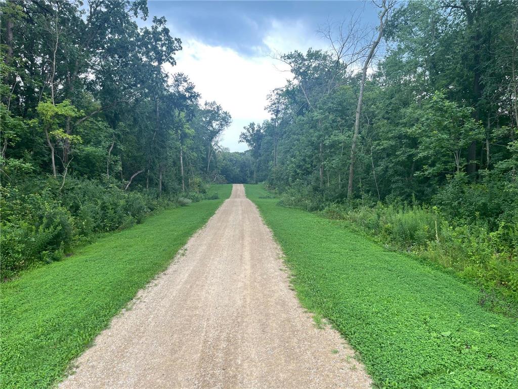 TBD 265th Street Eureka Twp MN 55024 6768525 image7