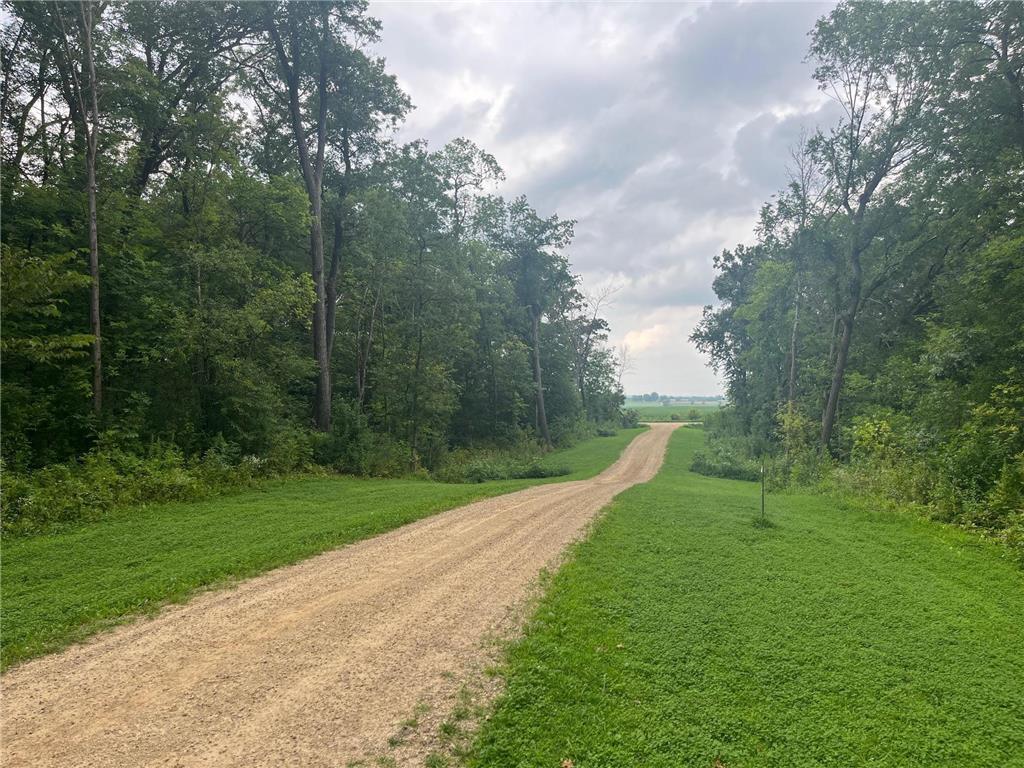 TBD 265th Street Eureka Twp MN 55024 6768525 image9