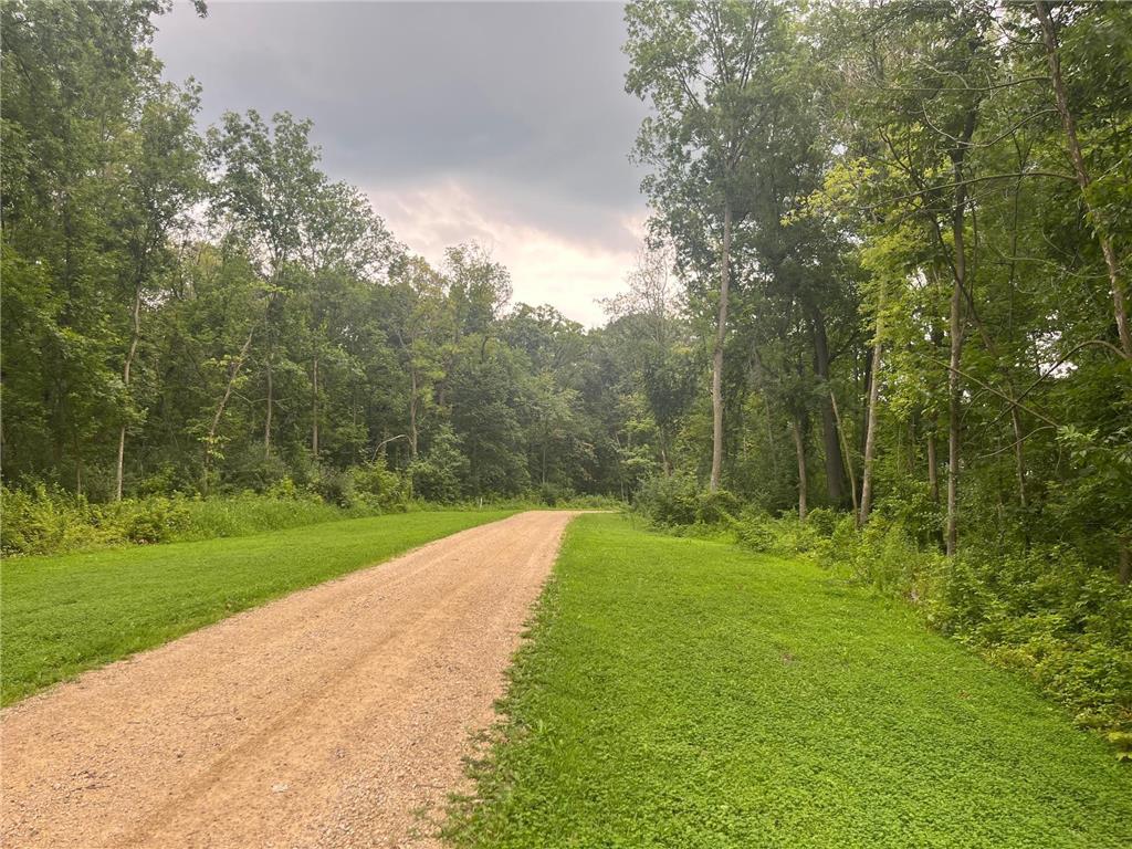 TBD 265th Street Eureka Twp MN 55024 7020102 image8