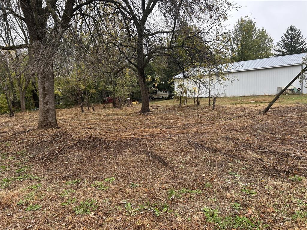 TBD 266th St & 539th Ave Lansing Twp MN 55950 6801001 image1