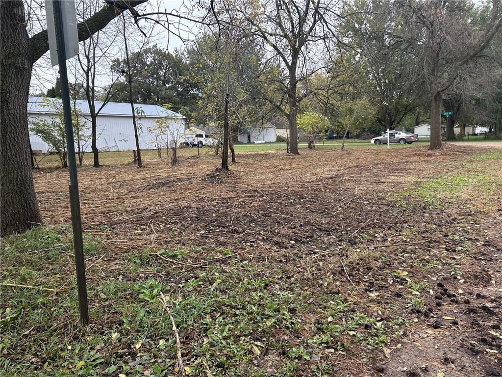 TBD 266th St & 539th Ave Lansing Twp MN 55950 6801001 image2