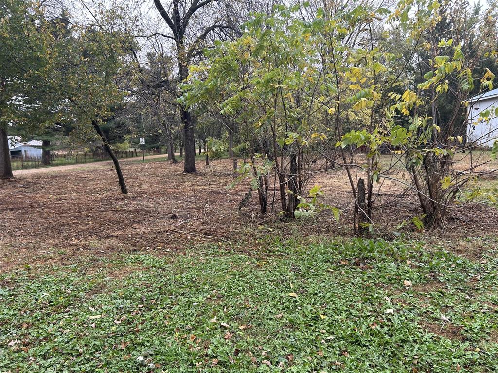 TBD 266th St & 539th Ave Lansing Twp MN 55950 6801001 image3