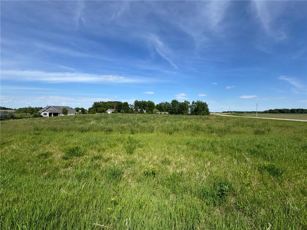 TBD 267th St Racine MN 55967 7084980 image3