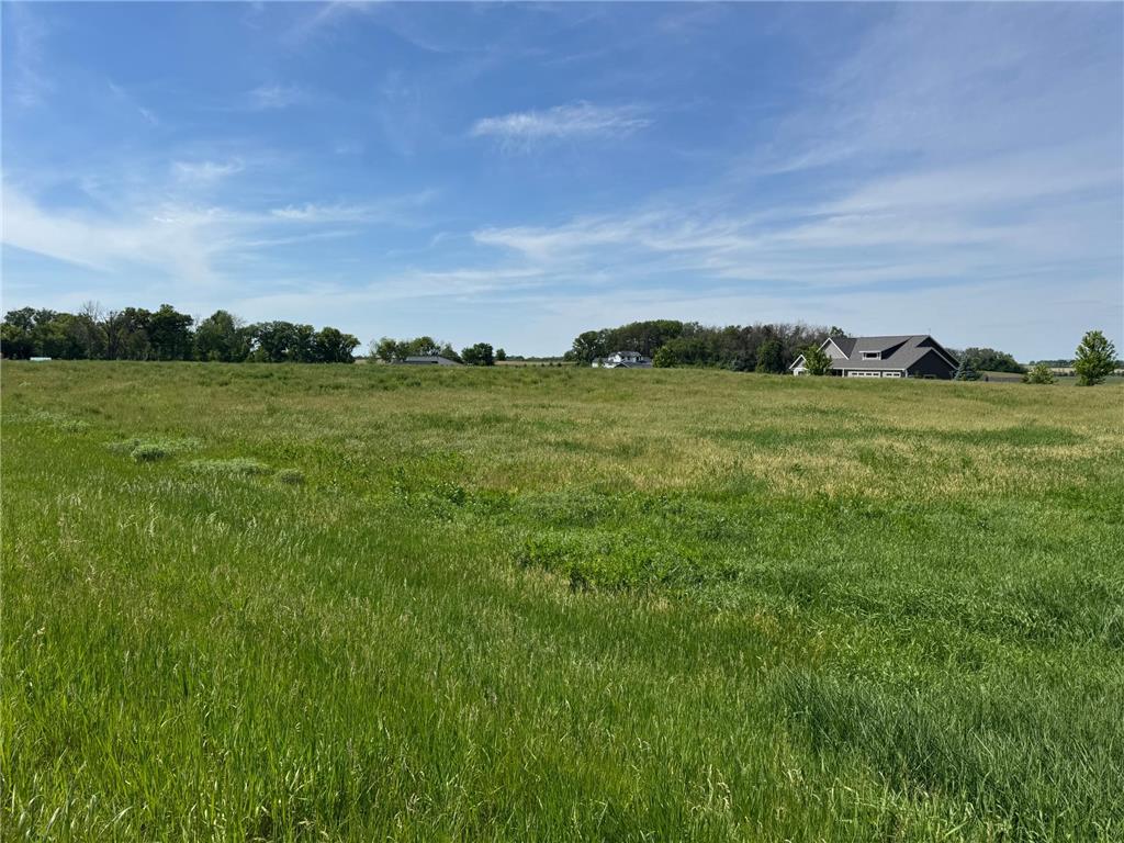 TBD 267th St Racine MN 55967 7084980 image6