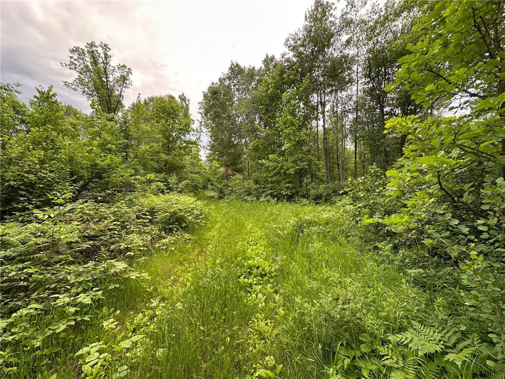 TBD 269th Avenue Laporte MN 56461 7102912 image10