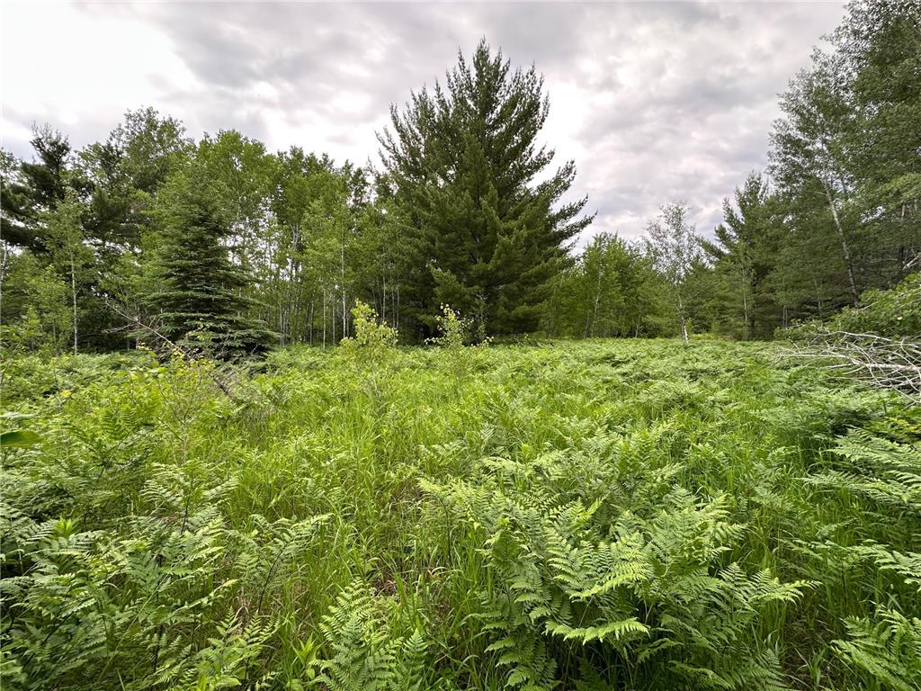 TBD 269th Avenue Laporte MN 56461 7102912 image12