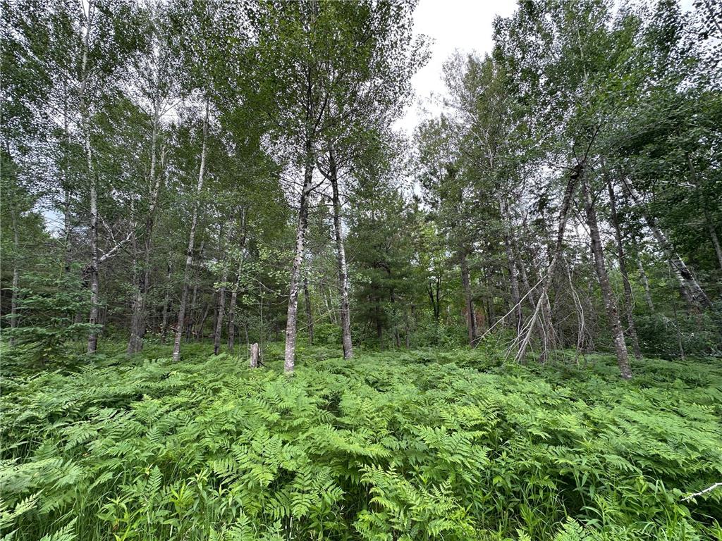TBD 269th Avenue Laporte MN 56461 7102912 image13
