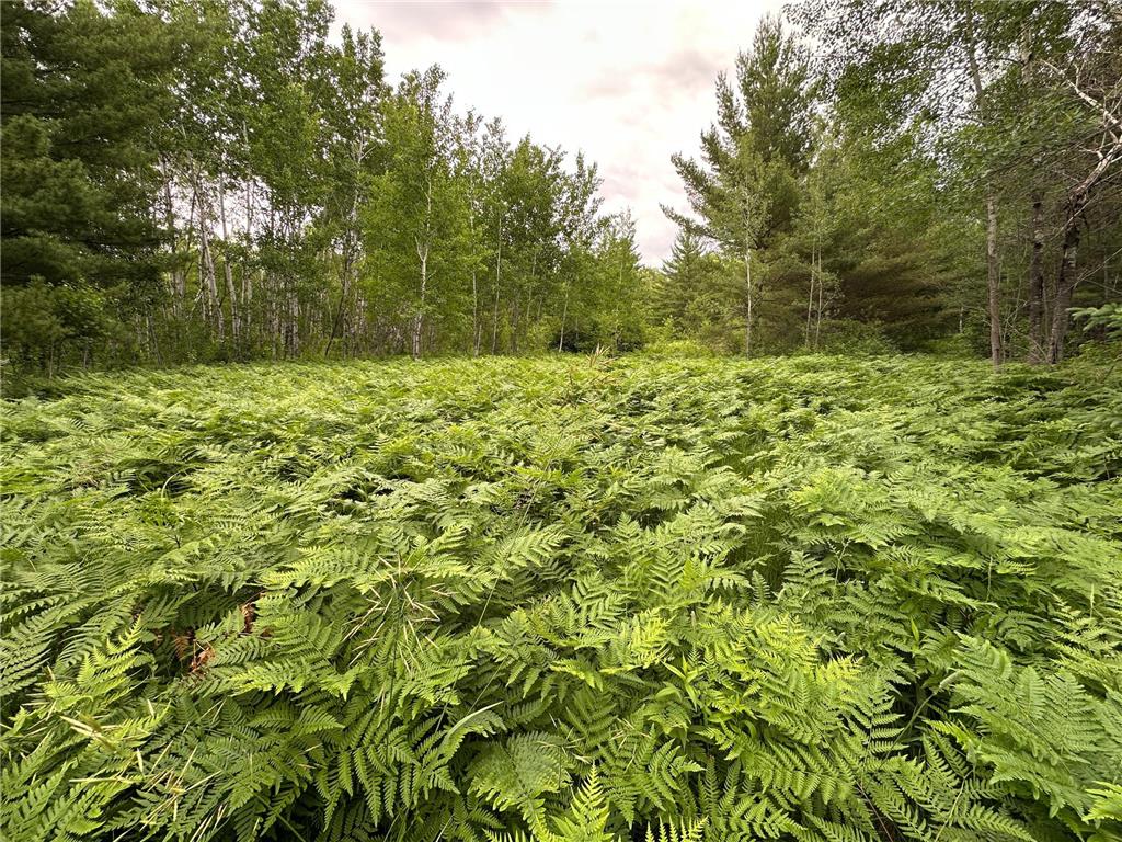 TBD 269th Avenue Laporte MN 56461 7102912 image14