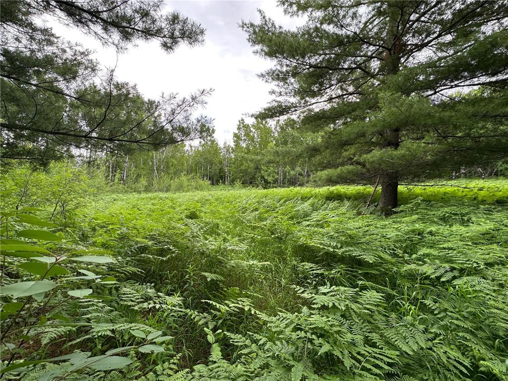 TBD 269th Avenue Laporte MN 56461 7102912 image15