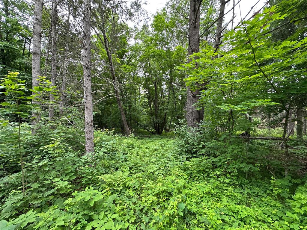 TBD 269th Avenue Laporte MN 56461 7102912 image18