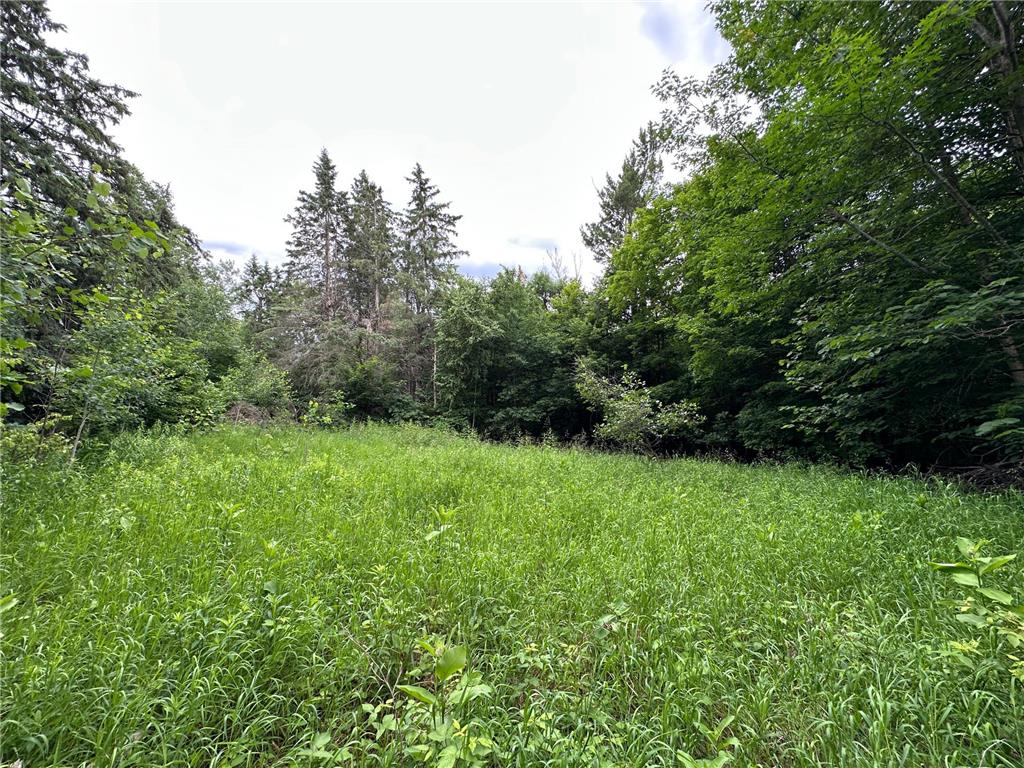 TBD 269th Avenue Laporte MN 56461 7102912 image19