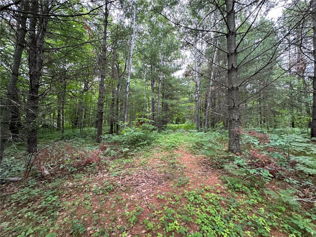 TBD 269th Avenue Laporte MN 56461 7102912 image21