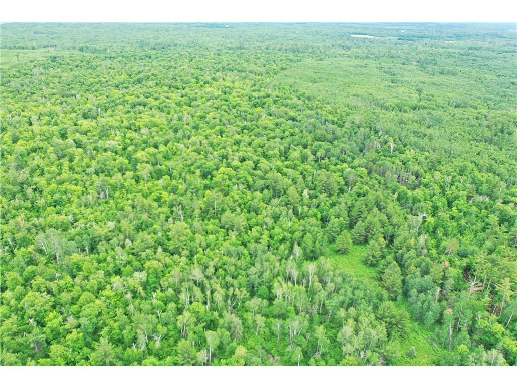 TBD 269th Avenue Laporte MN 56461 7102912 image3