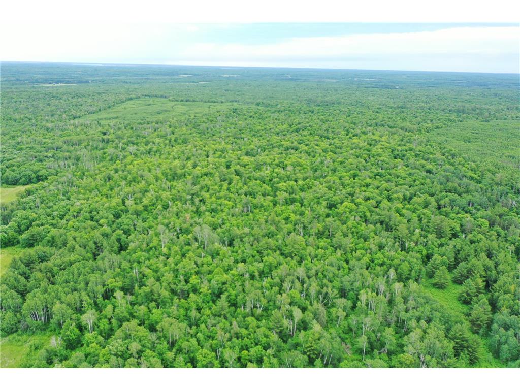 TBD 269th Avenue Laporte MN 56461 7102912 image4