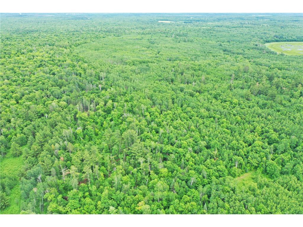 TBD 269th Avenue Laporte MN 56461 7102912 image5