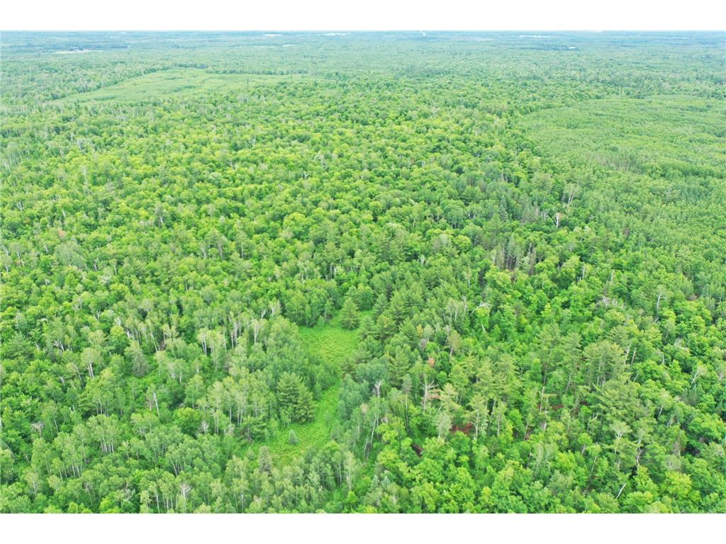 TBD 269th Avenue Laporte MN 56461 7102912 image6