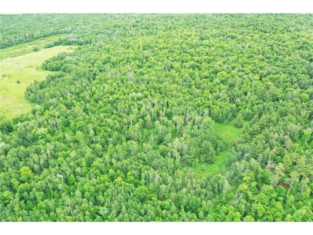 TBD 269th Avenue Laporte MN 56461 7102912 image8