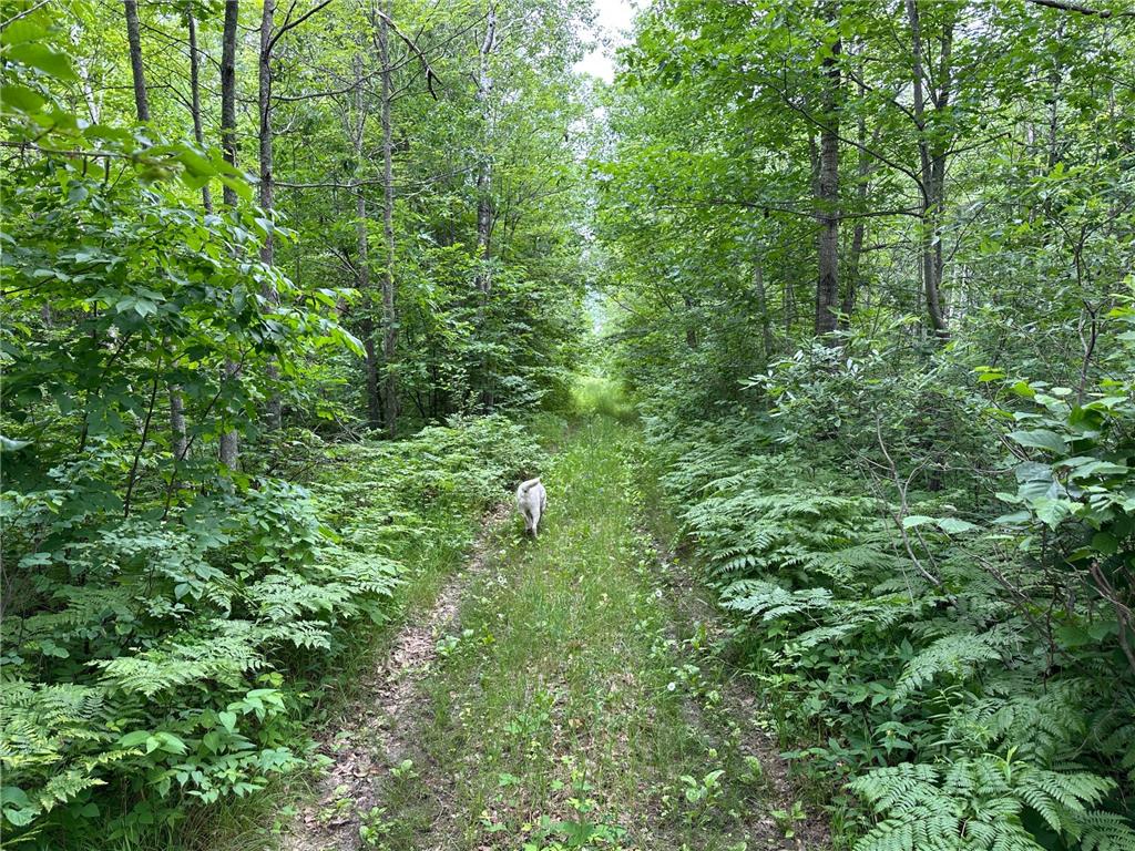 TBD 269th Avenue Laporte MN 56461 7102912 image9