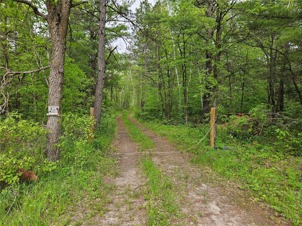 TBD 269th Avenue Leonard MN 56652 6536833 image1