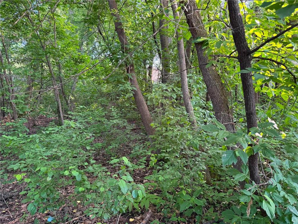 TBD 26TH Street N Oakdale MN 55128 7106531 image7