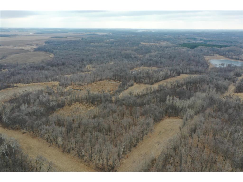 TBD 270th Avenue Erhard MN 56534 6498707 image1