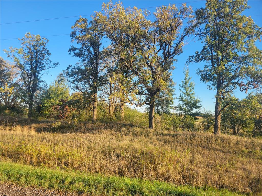 TBD 270th Avenue Pierz MN 56364 6442476 image1