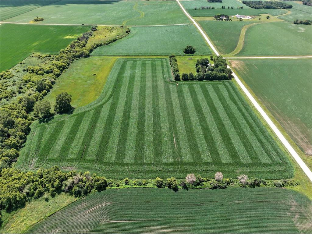 TBD 270th Avenue SW Hayfield MN 55940 7006378 image1