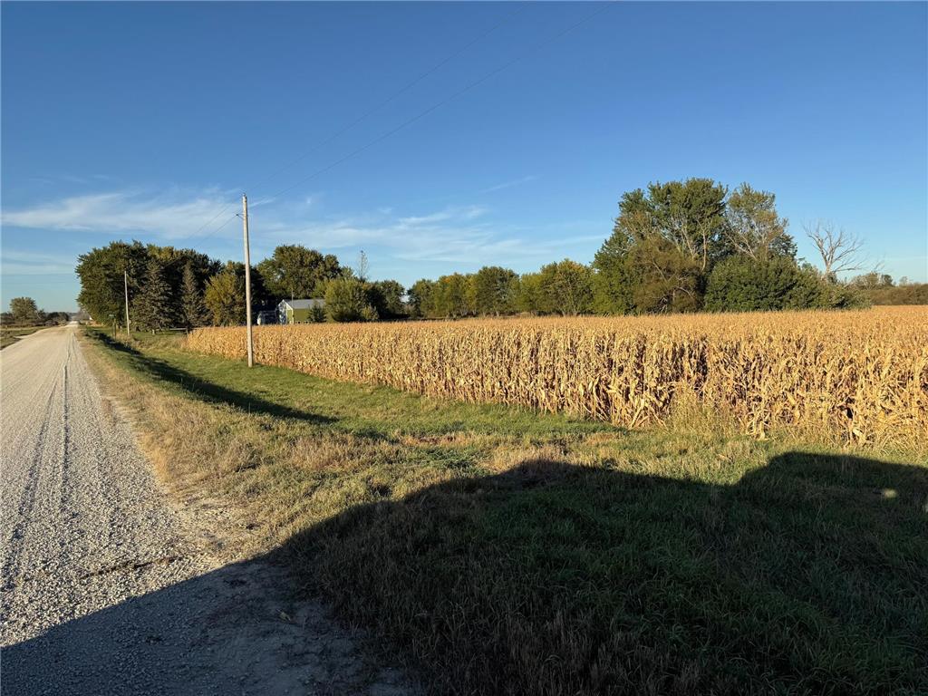 TBD 270th Avenue SW Hayfield MN 55940 7006378 image20