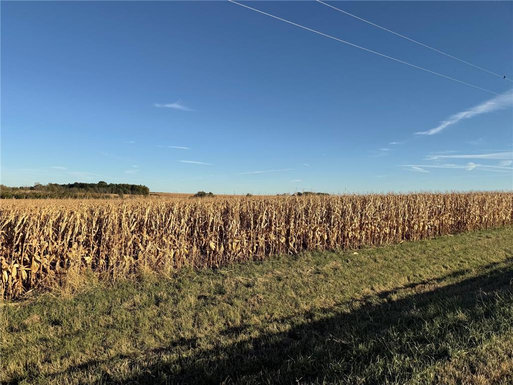 TBD 270th Avenue SW Hayfield MN 55940 7006378 image21