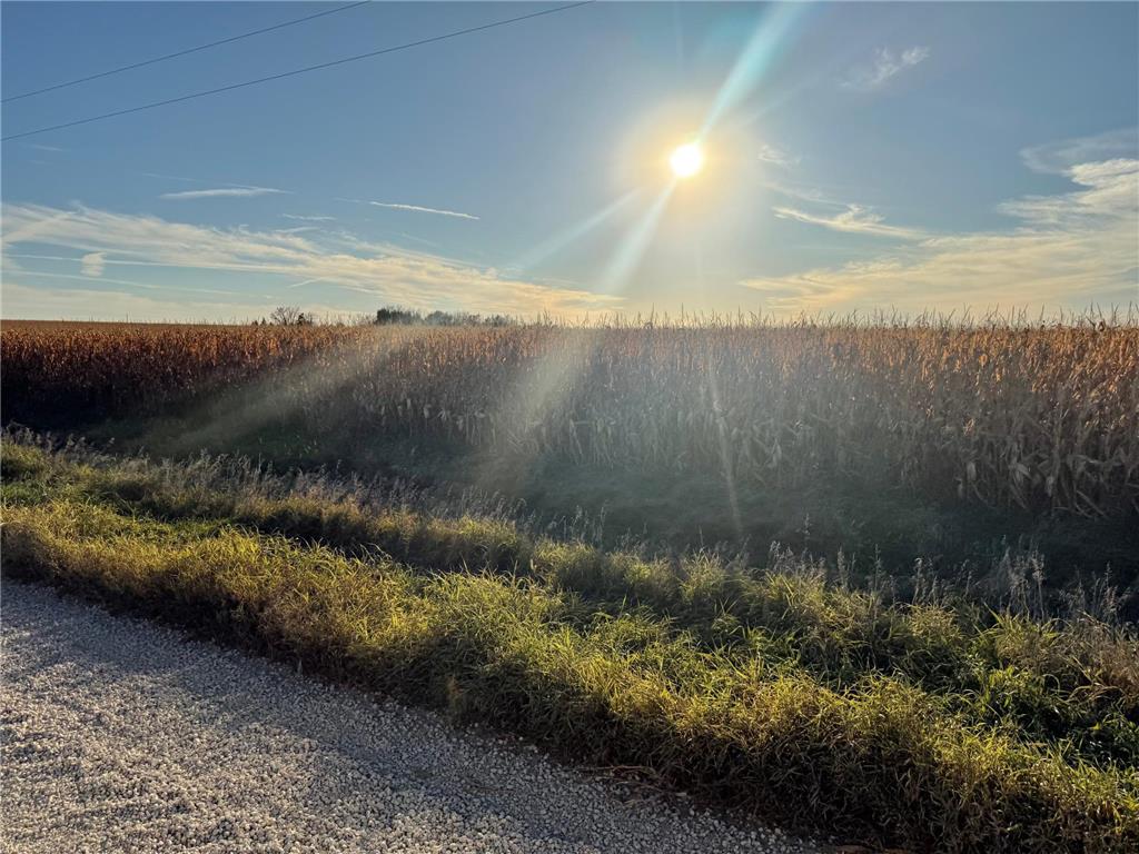 TBD 270th Avenue SW Hayfield MN 55940 7006378 image22