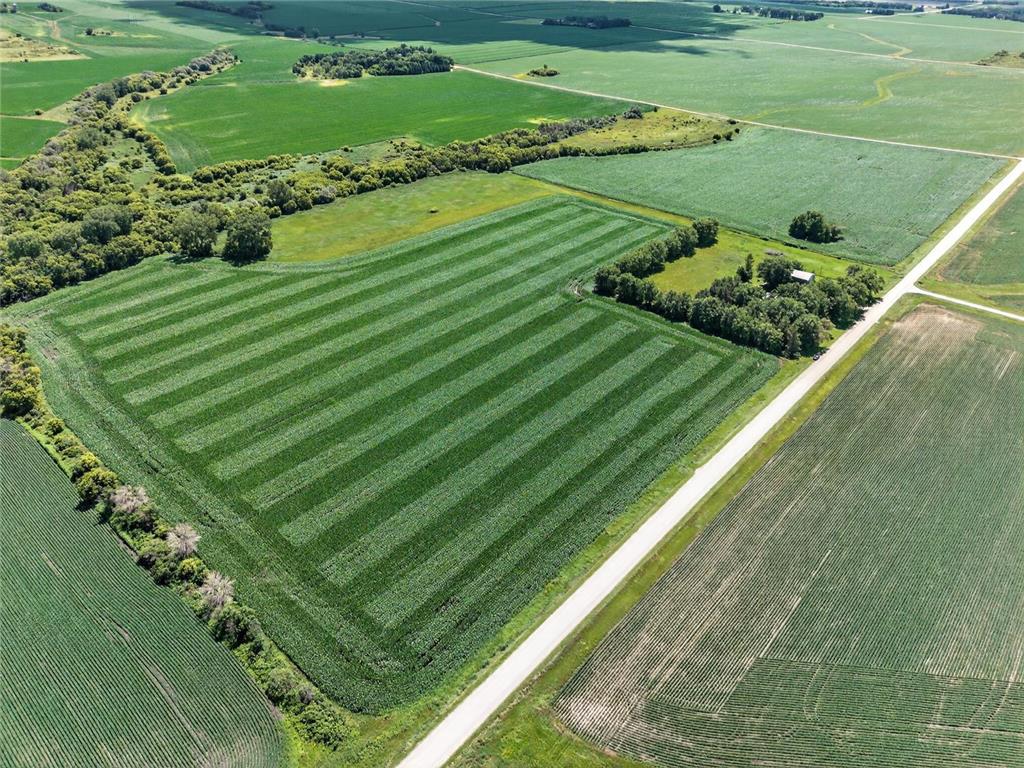 TBD 270th Avenue SW Hayfield MN 55940 7006378 image3