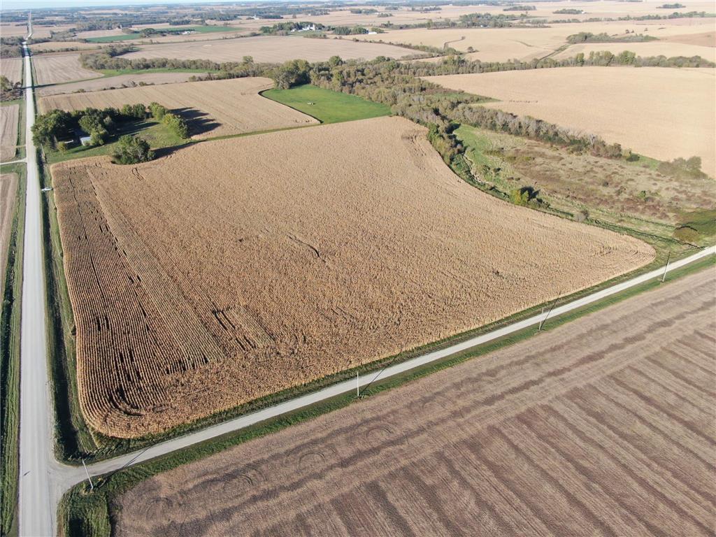 TBD 270th Avenue SW Hayfield MN 55940 7006378 image4
