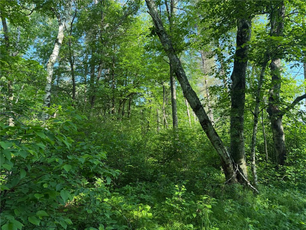 TBD 270th Street Sebeka MN 56477 - Crow Wing River 7091813 image13
