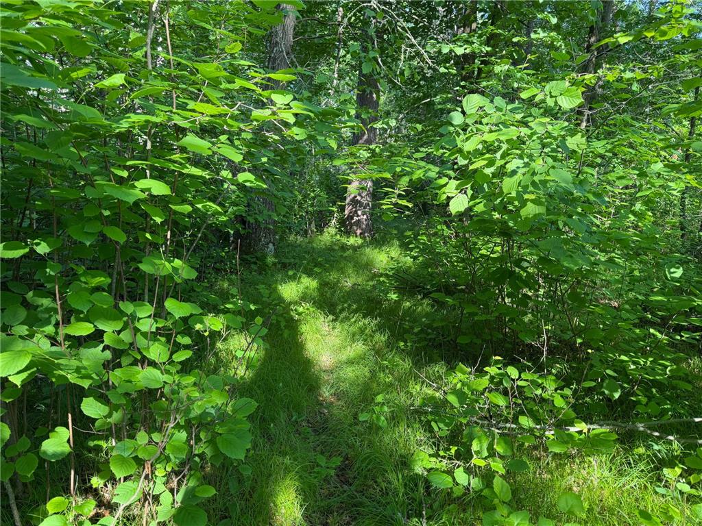 TBD 270th Street Sebeka MN 56477 - Crow Wing River 7091813 image14