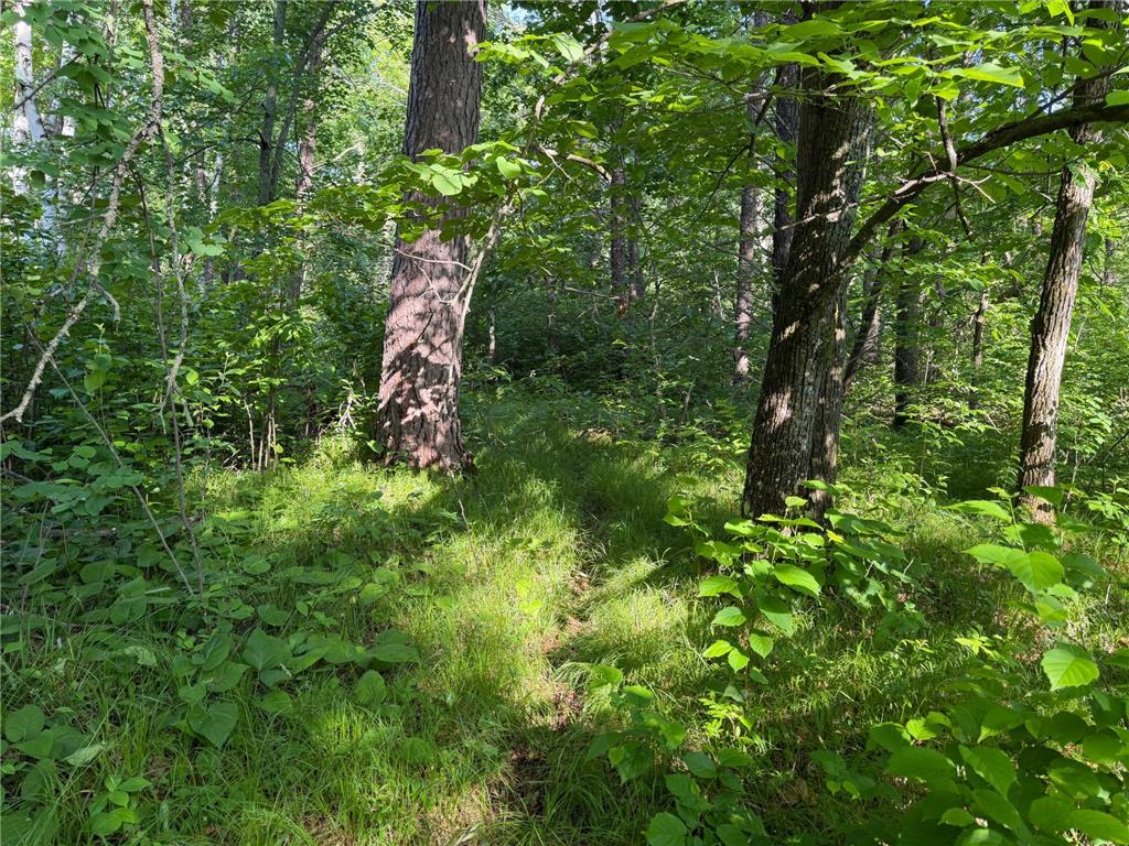 TBD 270th Street Sebeka MN 56477 - Crow Wing River 7091813 image15
