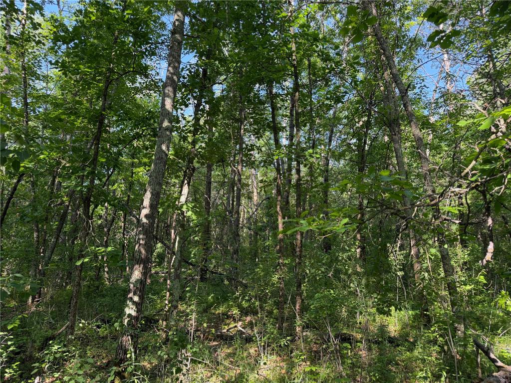 TBD 270th Street Sebeka MN 56477 - Crow Wing River 7091813 image18