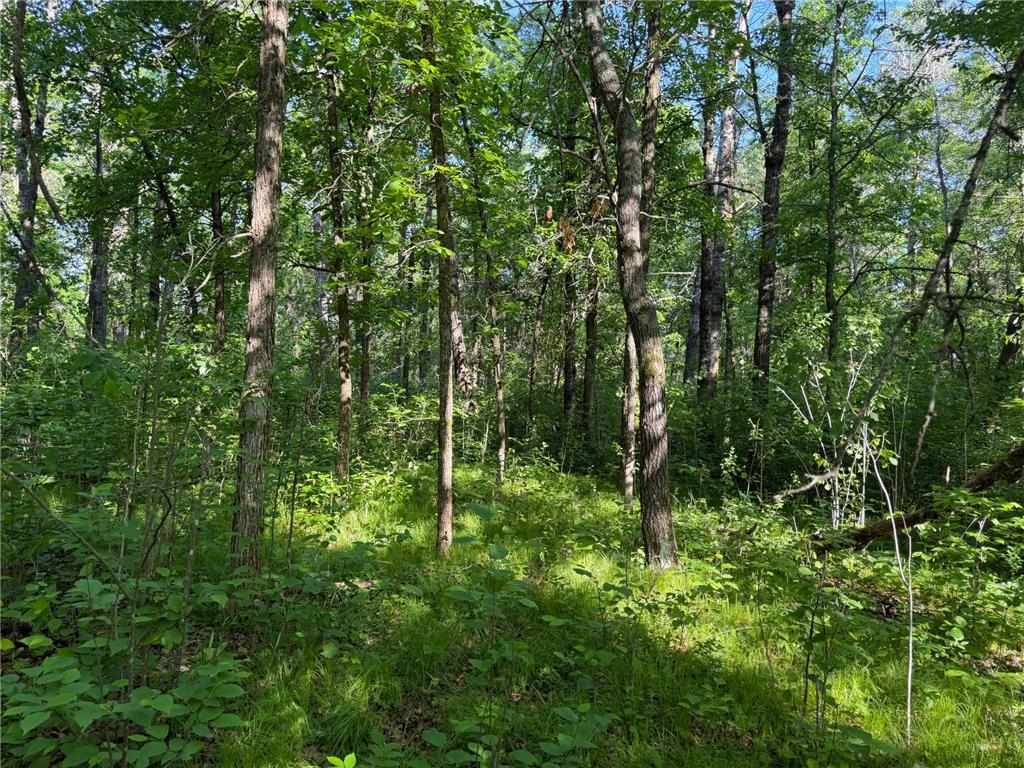 TBD 270th Street Sebeka MN 56477 - Crow Wing River 7091813 image24
