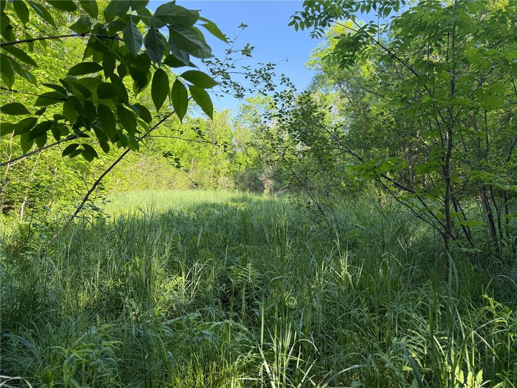 TBD 270th Street Sebeka MN 56477 - Crow Wing River 7091813 image26