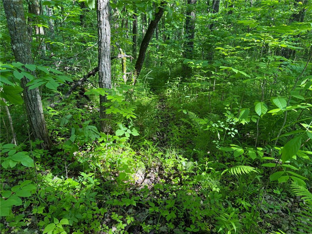 TBD 270th Street Sebeka MN 56477 - Crow Wing River 7091813 image30