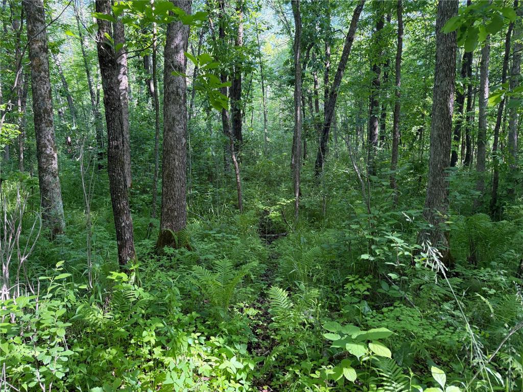 TBD 270th Street Sebeka MN 56477 - Crow Wing River 7091813 image31