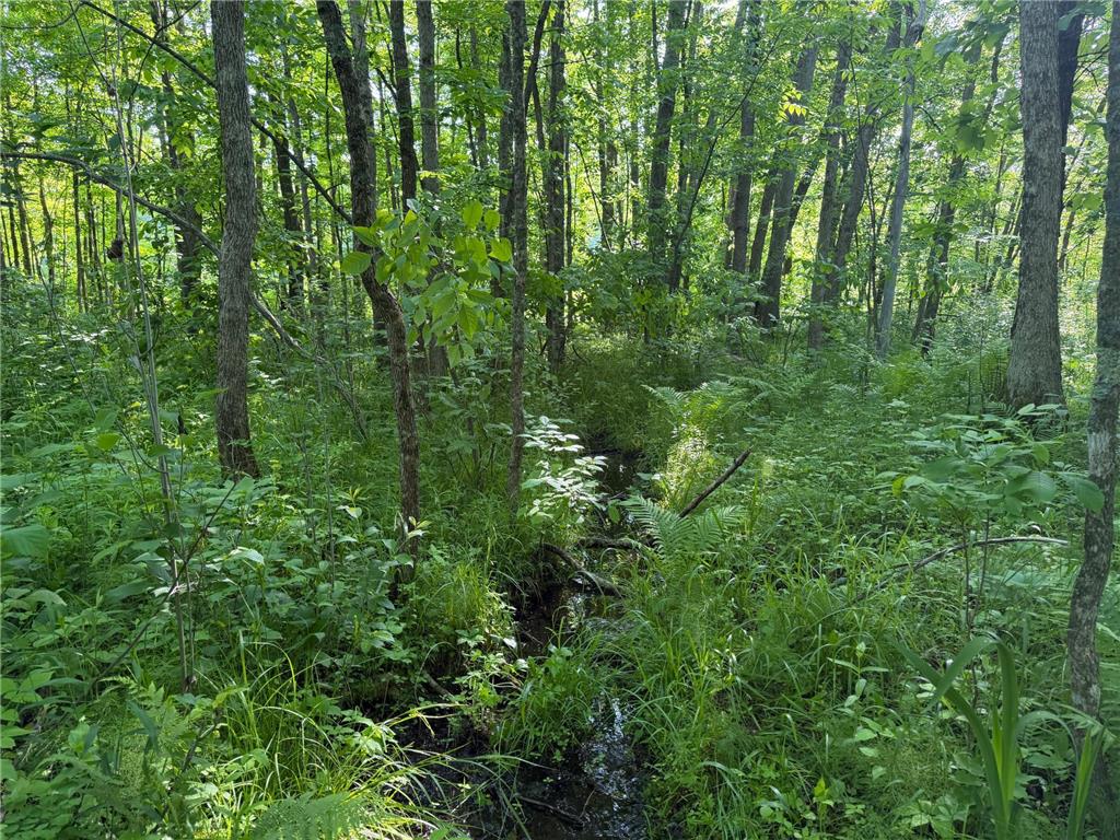 TBD 270th Street Sebeka MN 56477 - Crow Wing River 7091813 image32