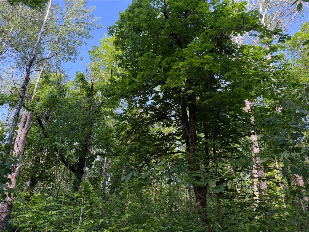 TBD 270th Street Sebeka MN 56477 - Crow Wing River 7091813 image33